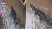Crocodile Enters Residential Colony: एमपी के शिवपुरी में भारी बारिश के बीच आवासीय कॉलोनी में घुसा मगरमच्छ, देखें वीडियो